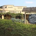 Nkuringo Gorilla Lodge