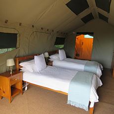 Woodbury Tented Camp, Amakhala