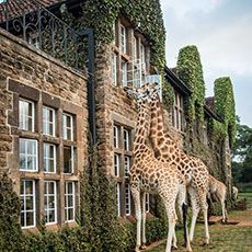Giraffe Manor, Karen