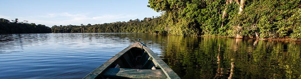 Amazon Holidays Peru Birding Tours Manu Iquitos Riverboats Cusco