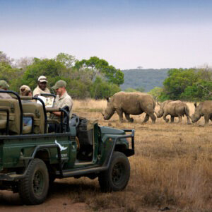 Phinda Game Reserve