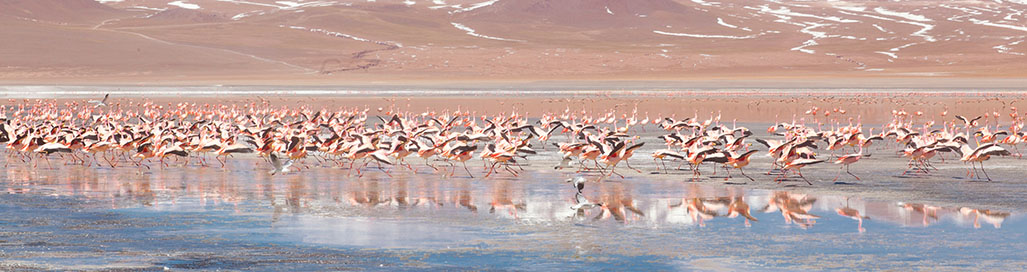 Holidays Packages Tours to Bolivia Salt Flats Salar de Uyuni La Paz