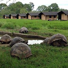 Galapagos Magic Camp