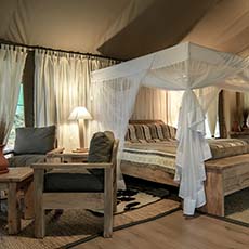 Mara Maisha Camp