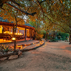 Umlani Bush Camp, Timbavati