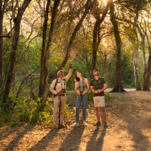 Phinda Game Reserve