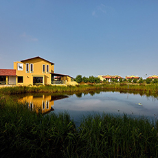 Blackbuck Safari Lodge