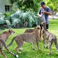Otjitotongwe Cheetah Farm