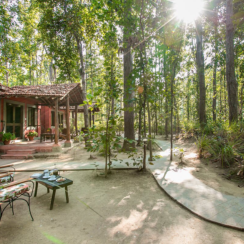 Kanha Jungle Lodge