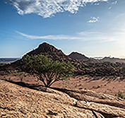 road trip cape town to etosha