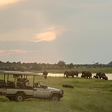 Muchenje Safari Lodge