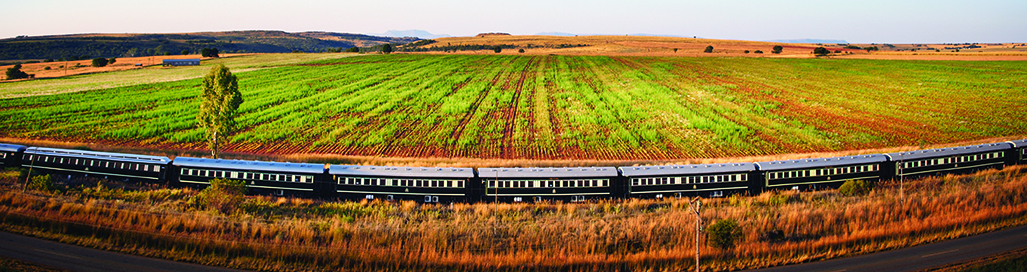 Luxury Train Journeys South Africa India America Rovos Rail Holidays Blue Train