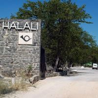 Halali Rest Camp
